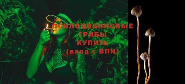 герыч Новозыбков