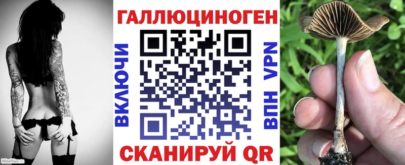 что такое   Тбилисская  Галлюциногенные грибы MAGIC MUSHROOMS 